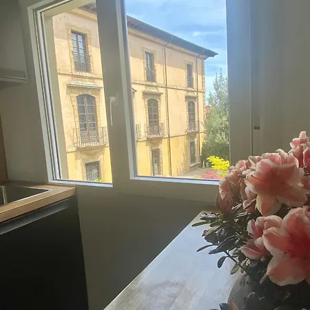 Nuevo!! San Antonio - Al Lado De La Catedral * オビエド