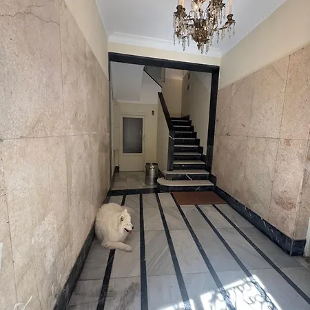 Nuevo!! San Antonio - Al Lado De La Catedral Oviedo