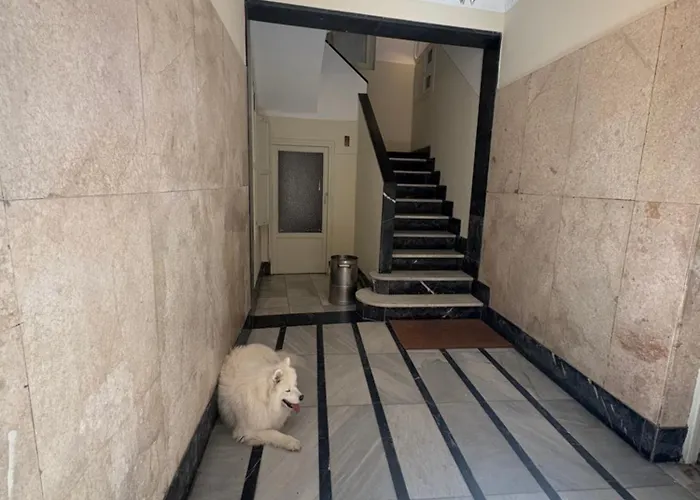 Nuevo!! San Antonio - Al Lado De La Catedral