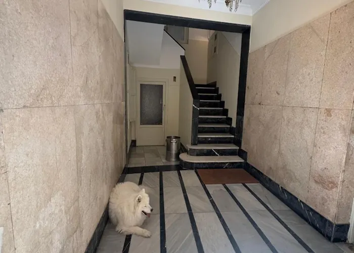 Nuevo!! San Antonio - Al Lado De La Catedral Oviedo